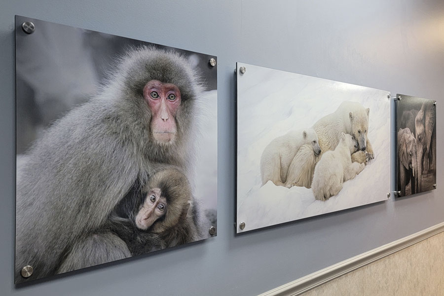 Absolute-Health-Clinic-Reception Photo Prints